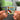 In Gottes Namen NFC Keychain