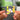 kobayashiakihitonoisshoutogakyuu llavero NFC