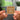 London Symphony Orchestra - British Composers. Holst, Elgar, Delius... Albumtag