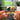 Parklife (Special Edition) NFC Keychain