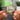 &quot;80 Classics - Orchestral Works&quot; Albumtag