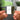 &quot;A Collection of Classical Fragments&quot;: Vol 2 Albumtag
