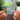 &quot;Andante grazioso - Classical Landscapes&quot; Albumtag