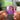 Rocky Aur Rani Kii Prem Kahaani (Original Motion Picture Soundtrack) NFC Keychain