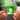 Starz Albumtag