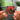 Take My Hand NFC Keychain