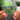 The Life of a Showgirl Albumtag