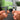 Trilogy Albumtag