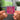 We&quot;re All Alone In This Together Albumtag