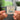Zzzz. Carnival of the Insects - A Symphony for Life Albumtag